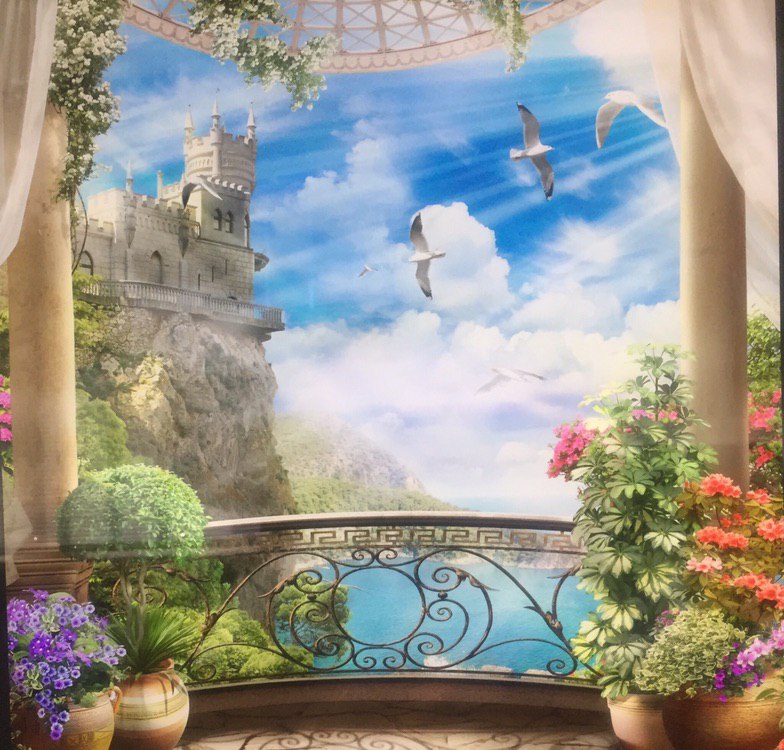 nature landscape